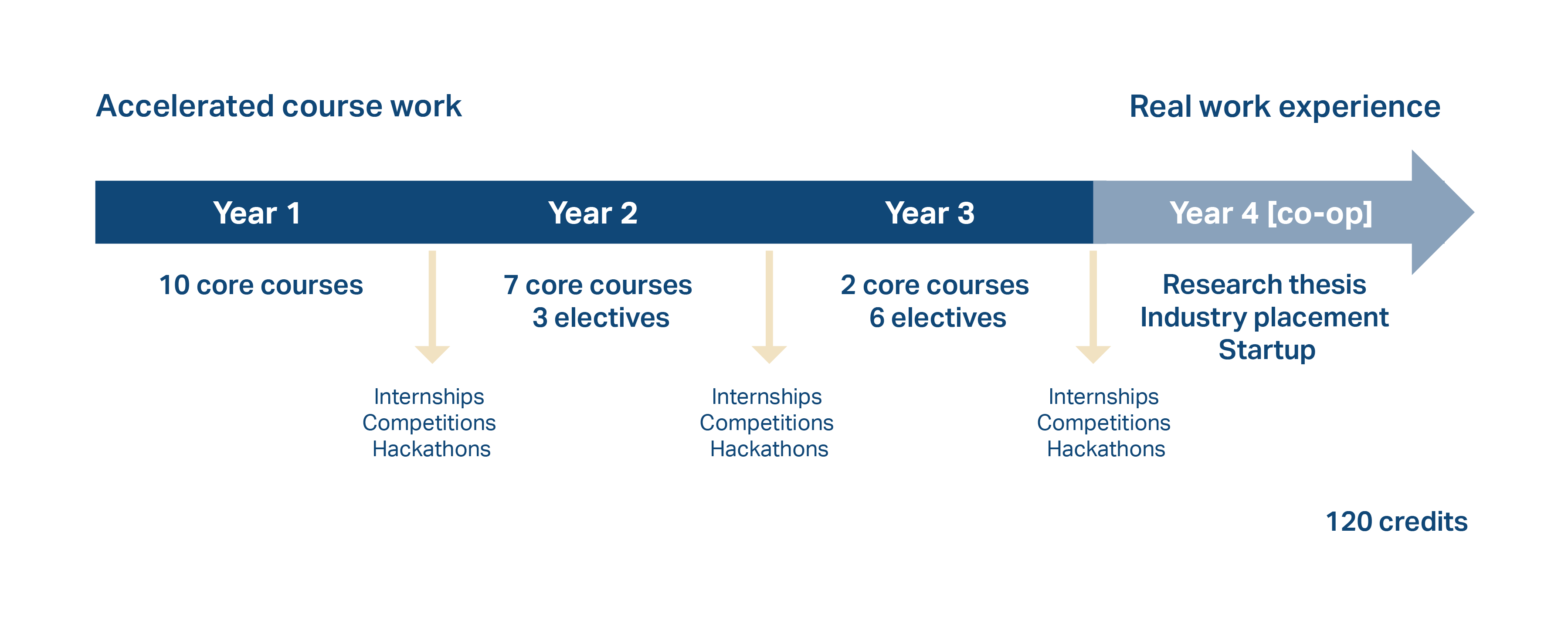 B.Sc. AI timeline showing 4-year structure with coursework and industry placement